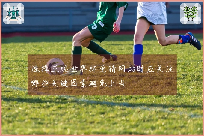 选择正规世界杯竞猜网站时应关注哪些关键因素避免上当
